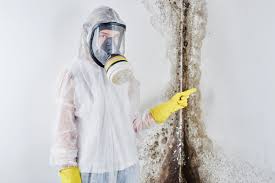 Mold Documentation for Insurance Claims in Baytown, TX